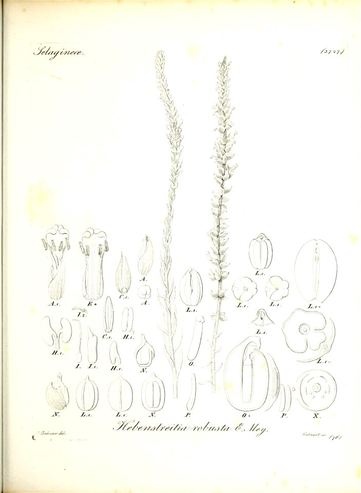 n170_w1150