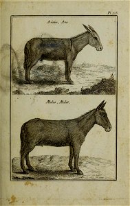 n250_w1150