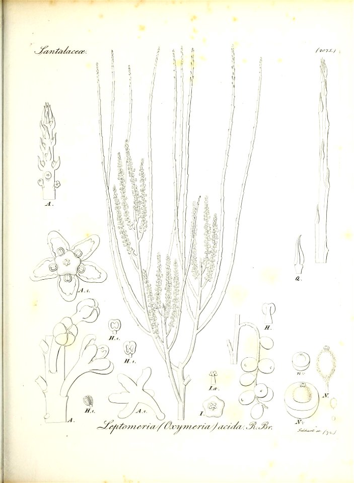 n166_w1150