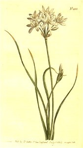 n179_w1150