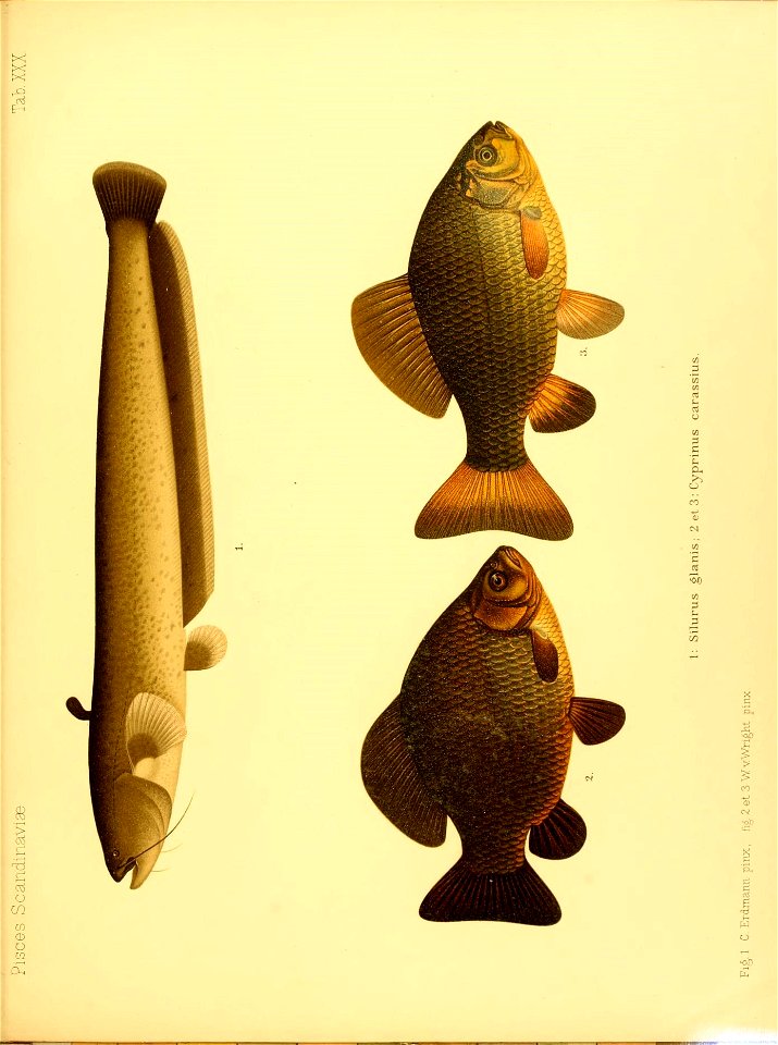 n698_w1150