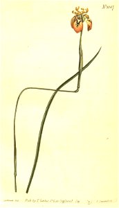 n211_w1150