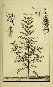 n150_w1150