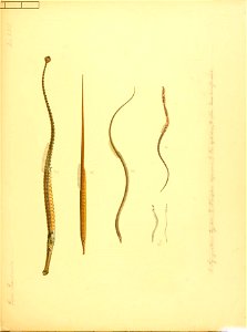 n696_w1150