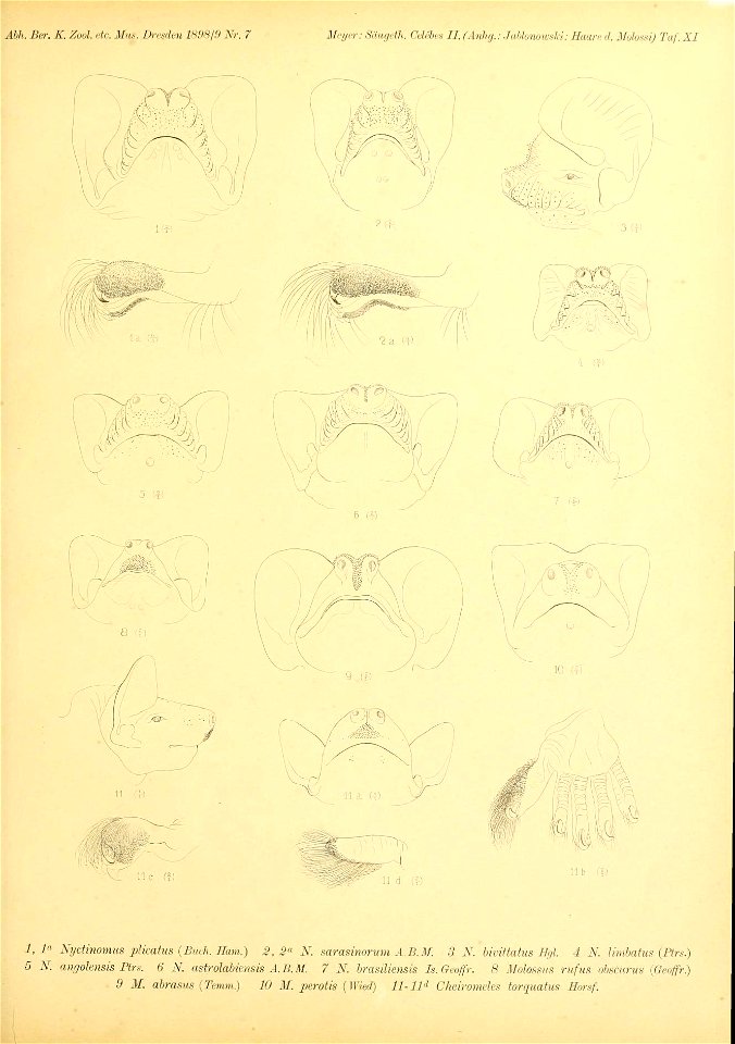n166_w1150