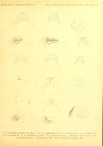 n166_w1150