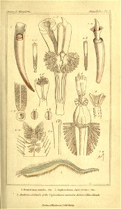 n166_w1150