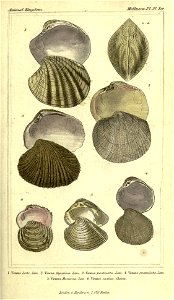 n136_w1150