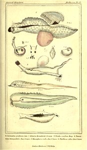 n46_w1150