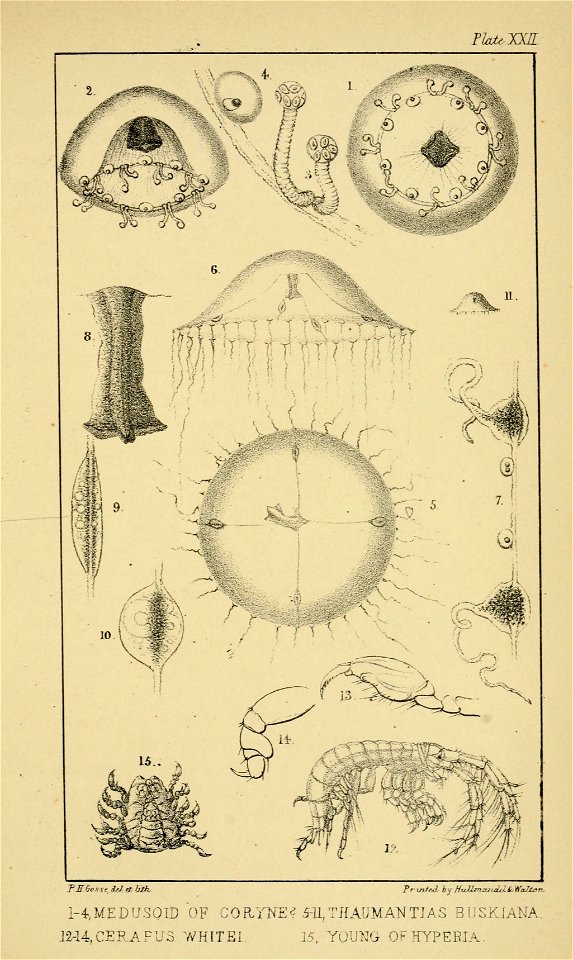 n402_w1150