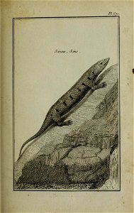 n164_w1150