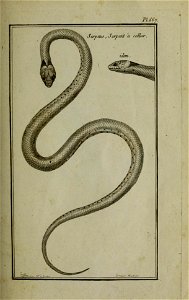 n158_w1150