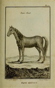 n248_w1150
