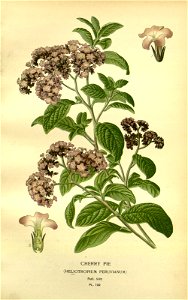 n118_w1150