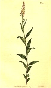 n223_w1150