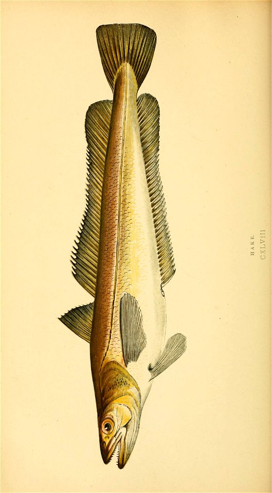 n163_w1150