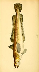 n163_w1150
