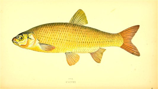 n109_w1150