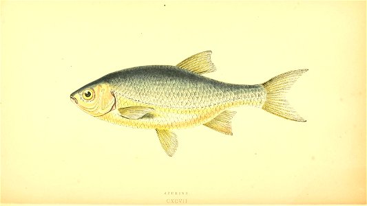 n105_w1150