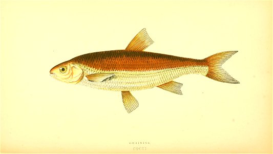 n101_w1150