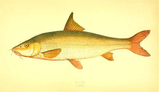 n28_w1150