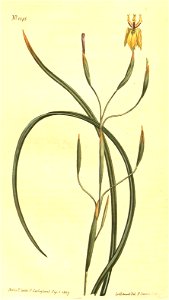 n205_w1150