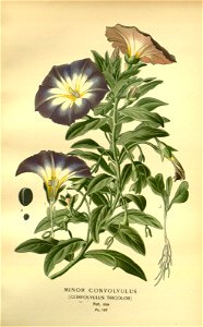 n133_w1150