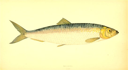 n151_w1150