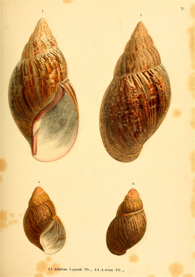 n184_w1150
