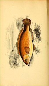 n69_w1150