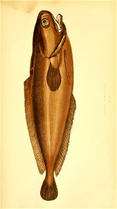 n194_w1150