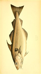 n102_w1150