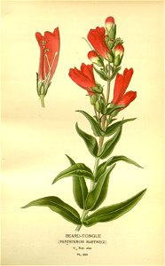 n169_w1150