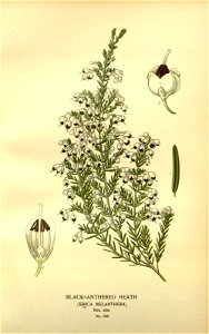 n37_w1150