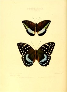 n147_w1150