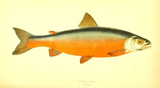 n371_w1150
