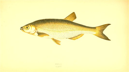n96_w1150
