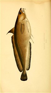 n199_w1150