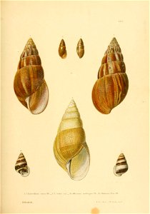 n192_w1150