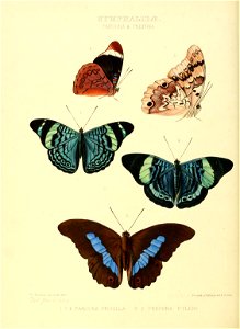 n175_w1150