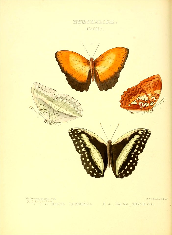 n119_w1150