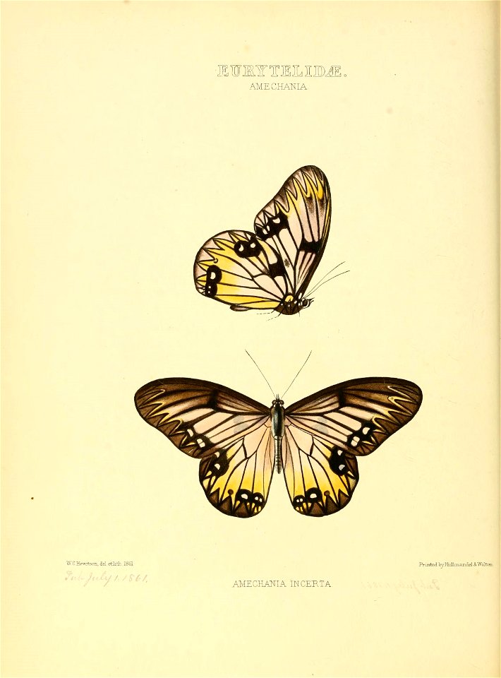 n59_w1150