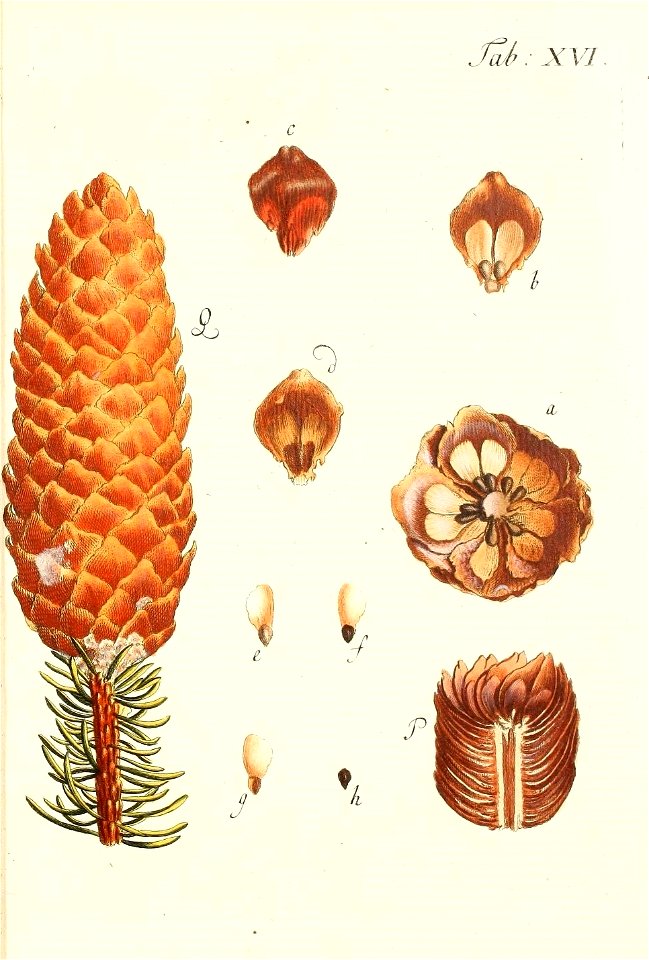 n118_w1150