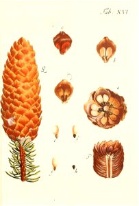 n118_w1150