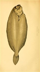 n308_w1150