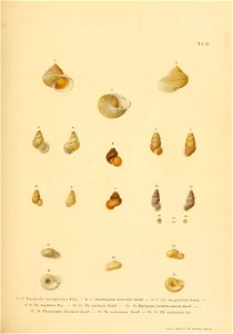 n206_w1150