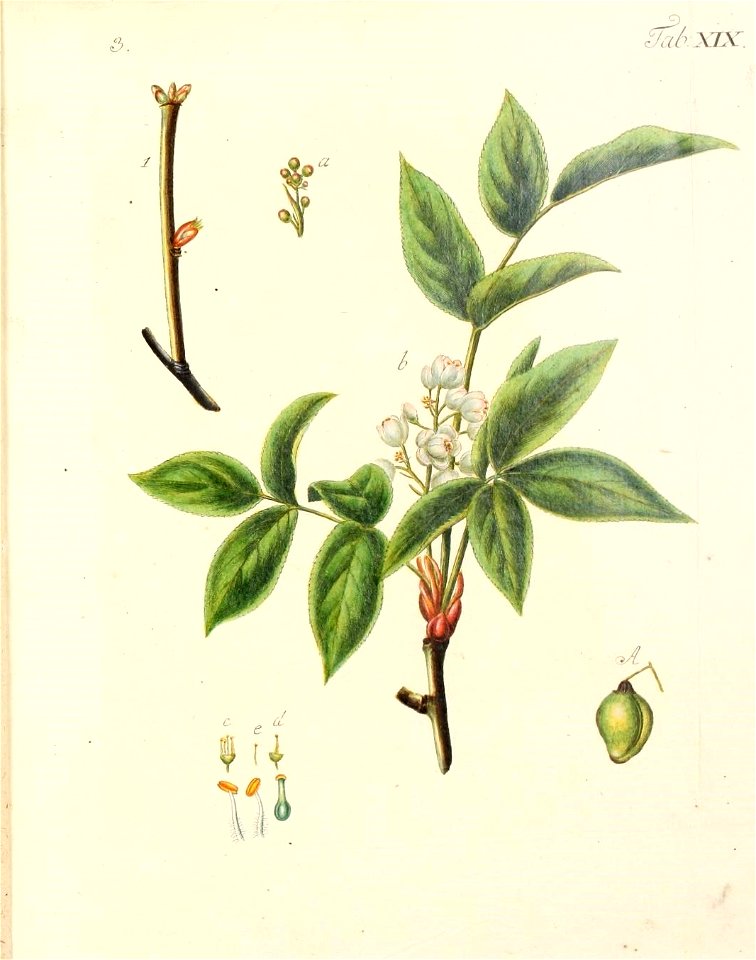 n558_w1150