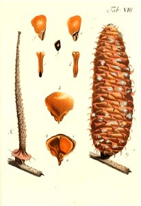 n102_w1150