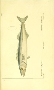 n166_w1150
