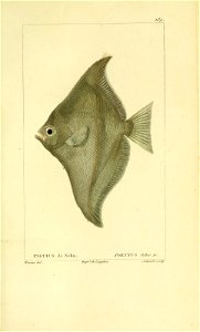 n106_w1150